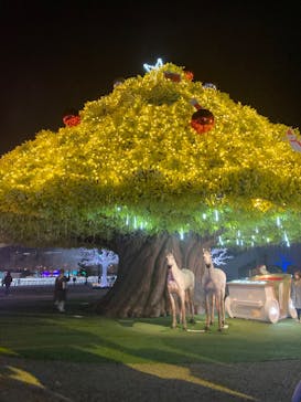 東京メガイルミに投稿された画像（2022/12/20）