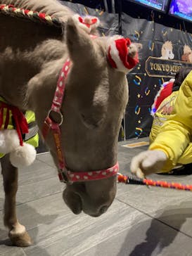 東京メガイルミに投稿された画像（2022/12/20）