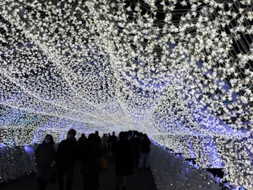 東京メガイルミに投稿された画像（2022/12/20）