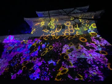 福山城400年博-FUKUYAMA CASTLE EXPO 2022- RCC開局70年 「チームラボ 福山城 光の祭」に投稿された画像（2022/12/21）