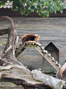 ひらかたパークに投稿された画像（2022/12/21）