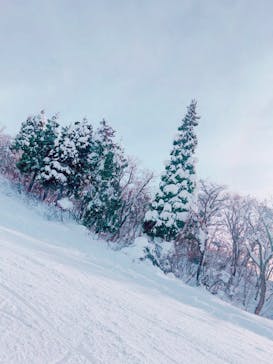 スキージャム勝山に投稿された画像（2022/12/21）