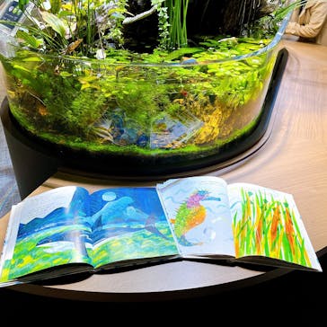 スマートアクアリウム静岡に投稿された画像（2022/12/21）