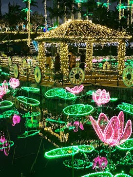 美らヤシパークオキナワ・東南植物楽園に投稿された画像（2022/12/21）