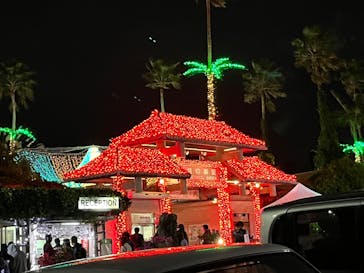 美らヤシパークオキナワ・東南植物楽園に投稿された画像（2022/12/21）