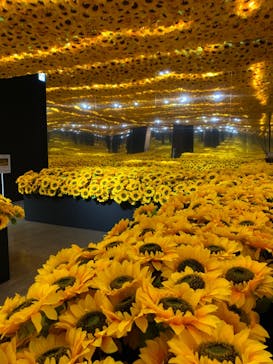 ゴッホ・アライブに投稿された画像（2022/12/21）