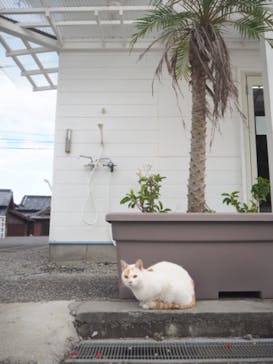 キラーサーフ宮崎に投稿された画像（2022/12/21）