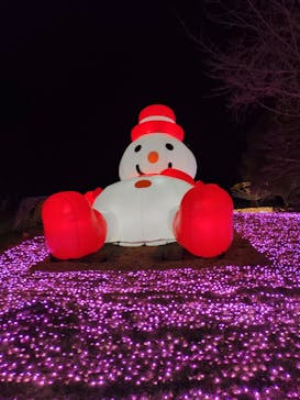 さがみ湖MORI MORIに投稿された画像（2022/12/21）