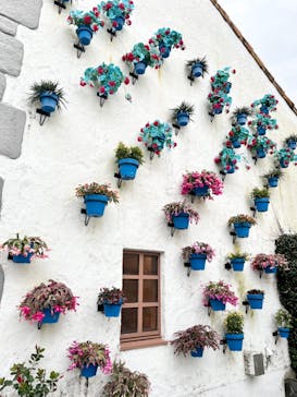 志摩スペイン村パルケエスパーニャに投稿された画像（2022/12/21）