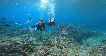 武藤潜水に投稿された画像（2022/12/21）