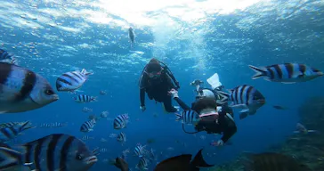 武藤潜水に投稿された画像（2022/12/21）