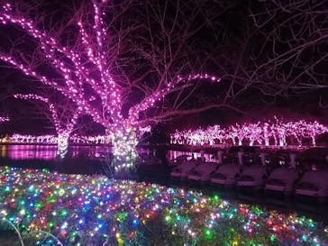 東武動物公園に投稿された画像（2022/12/21）