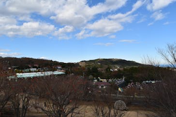 伊豆ぐらんぱる公園に投稿された画像（2022/12/21）