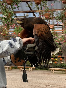 富士花鳥園に投稿された画像（2022/12/21）