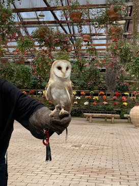 富士花鳥園に投稿された画像（2022/12/21）