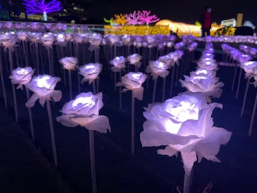 東京メガイルミに投稿された画像（2022/12/21）