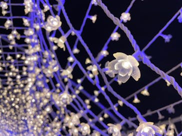 東京メガイルミに投稿された画像（2022/12/21）