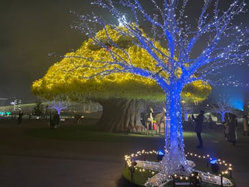 東京メガイルミに投稿された画像（2022/12/21）