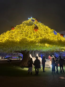 東京メガイルミに投稿された画像（2022/12/21）