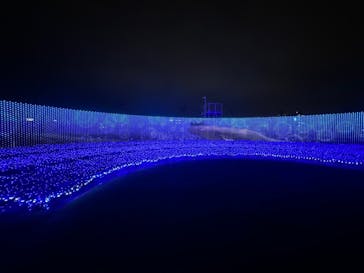 東京メガイルミに投稿された画像（2022/12/21）