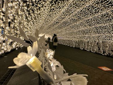 東京メガイルミに投稿された画像（2022/12/21）