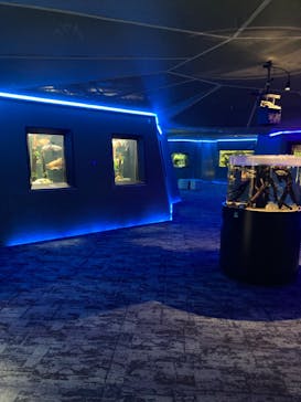 カワスイ 川崎⽔族館に投稿された画像（2022/12/21）