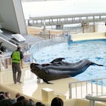 マリンワールド海の中道に投稿された画像（2022/12/12）