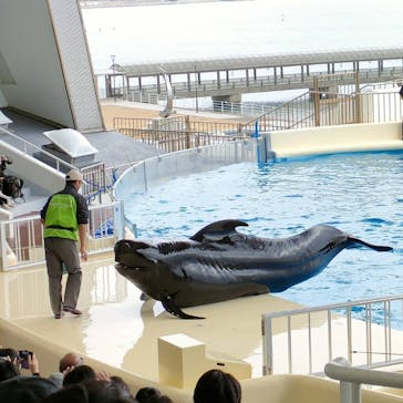 マリンワールド海の中道に投稿された画像（2022/12/12）