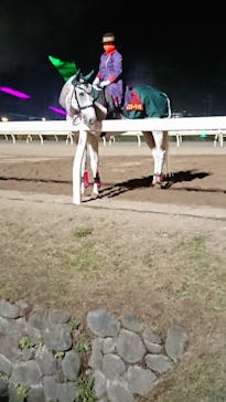 東京メガイルミに投稿された画像（2022/12/22）