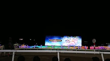 東京メガイルミに投稿された画像（2022/12/22）