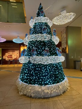 ハルカス300(展望台)に投稿された画像（2022/12/22）