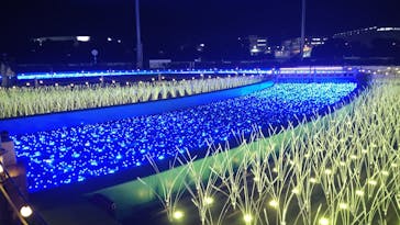 東京メガイルミに投稿された画像（2022/12/22）