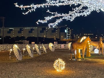 東京メガイルミに投稿された画像（2022/12/22）