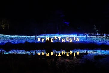 KYOTO ILLUMINATION SYNESTHESIA HILLS るり渓温泉に投稿された画像（2022/12/22）