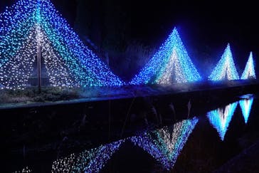 KYOTO ILLUMINATION SYNESTHESIA HILLS るり渓温泉に投稿された画像（2022/12/22）