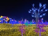 伊豆ぐらんぱる公園に投稿された画像（2022/12/22）