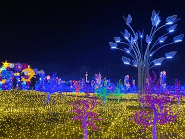 伊豆ぐらんぱる公園に投稿された画像（2022/12/22）