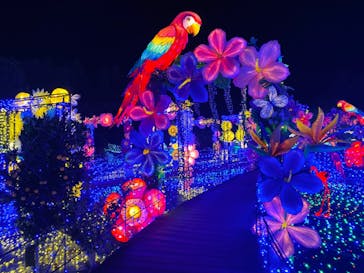 伊豆ぐらんぱる公園に投稿された画像（2022/12/22）