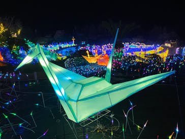 伊豆ぐらんぱる公園に投稿された画像（2022/12/22）