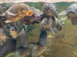 仙台うみの杜水族館に投稿された画像（2022/12/22）