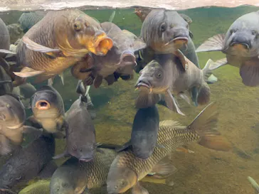 仙台うみの杜水族館に投稿された画像（2022/12/22）