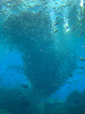 仙台うみの杜水族館に投稿された画像（2022/12/22）