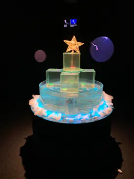 仙台うみの杜水族館に投稿された画像（2022/12/22）