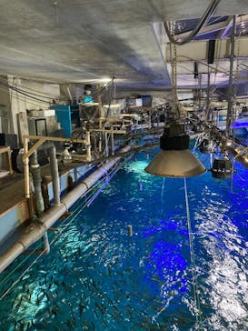 南知多ビーチランド＆南知多おもちゃ王国に投稿された画像（2022/12/22）