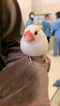 Moff animal world BIGHOPガーデンモール印西店に投稿された画像（2022/12/22）