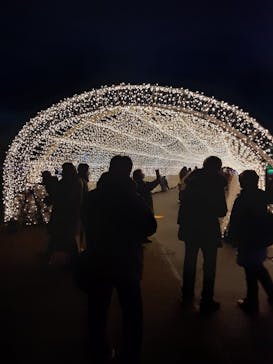 東京メガイルミに投稿された画像（2022/12/22）