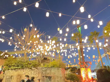 ひらかたパークに投稿された画像（2022/12/18）