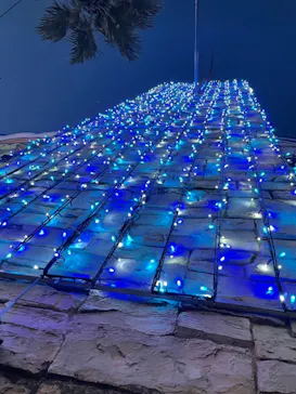 ひらかたパークに投稿された画像（2022/12/18）