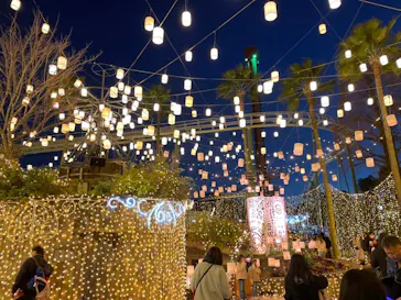 ひらかたパークに投稿された画像（2022/12/18）