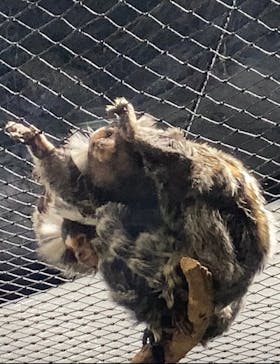 カワスイ 川崎⽔族館に投稿された画像（2022/12/23）